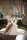 Brautkleid Beatrice Bridal Gracia BB023